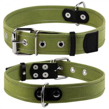 Collar, Zgarda caini, 20mm latime, 31-41cm lungime, S (0144)