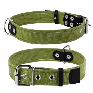 Collar, Zgarda caini, 35mm latime, 51-63 cm lungime, verde (0293)