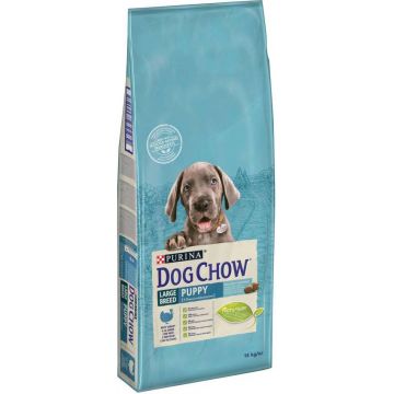 DOG CHOW Hrană uscată PUPPY pt căţei Talie Mare, cu Curcan şi Orez 14kg