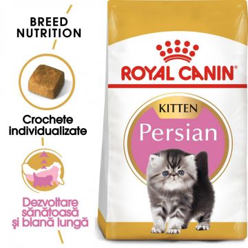 Royal Canin Persian Kitten hrană uscată pisică junior, 2kg de firma originala