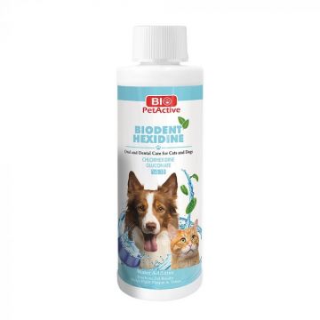 Bio PetActive Biodent Hexidine, 250 ml