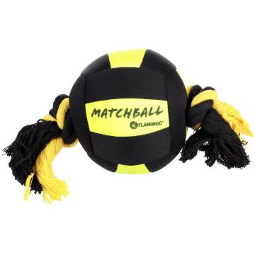 FLAMINGO Jucărie pentru câini Minge Aqua Actionball plutitoare, cu mânere