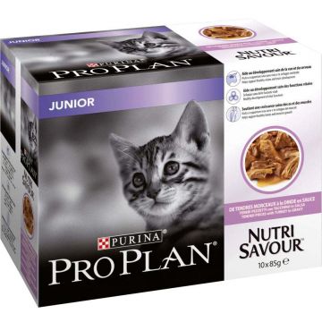 PRO PLAN KITTEN Plic hrană umedă pentru pisici cu Curcan