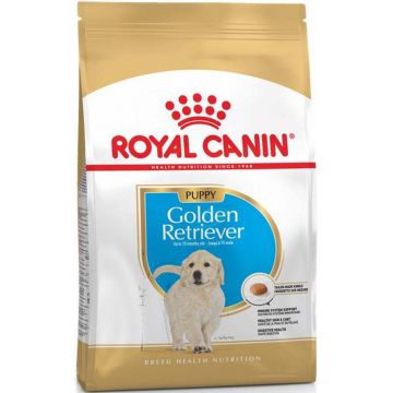 ROYAL CANIN BHN Golden Retriever Puppy
