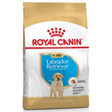 ROYAL CANIN BHN Labrador Retriever Puppy 12kg
