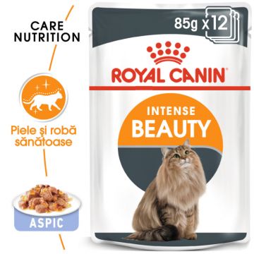 Hrana umeda pentru pisici Royal Canin Intense Beauty Care Adult, 12 x 85g