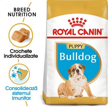 Royal Canin Bulldog Puppy hrana uscata caine junior, 3 kg