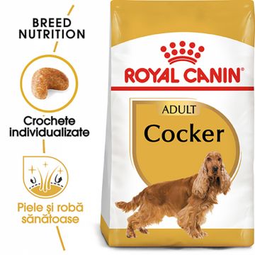 Royal Canin Cocker Adult hrana uscata caine, 3 kg