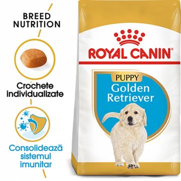 Royal Canin Golden Retriever Puppy hrana uscata caine junior, 3 kg