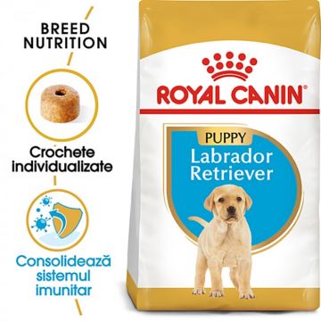 Royal Canin Labrador Puppy hrana uscata caine junior, 3 kg de firma originala