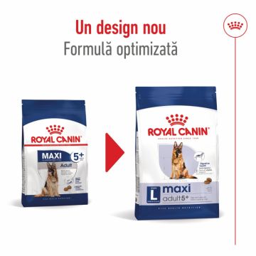 Royal Canin Maxi Adult 5+ hrana uscata caine, 15 kg