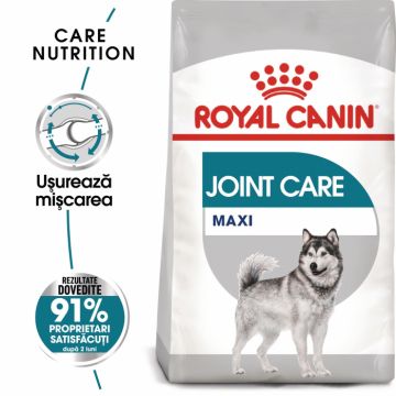 Royal Canin Maxi Joint Care Adult hrana uscata caine, ingrijirea articulatiilor, 10 kg