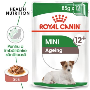 Royal Canin Mini Ageing 12+ hrana umeda caine senior (in sos), 12 x 85 g