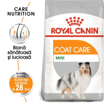 Royal Canin Mini Coat Care Adult hrana uscata caine, blana sanatoasa si lucioasa, 1 kg