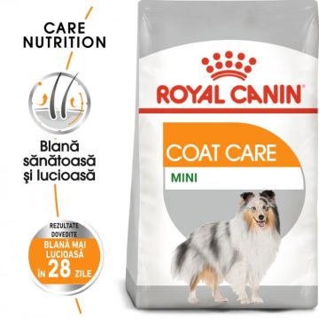 Royal Canin Mini Coat Care Adult hrana uscata caine, blana sanatoasa si lucioasa, 3 kg