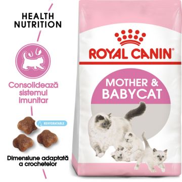 Royal Canin Mother BabyCat hrana uscata pisica, mama si puiul, 2 kg ieftina