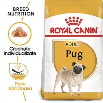 Royal Canin Pug Adult hrana uscata caine, 1.5 kg