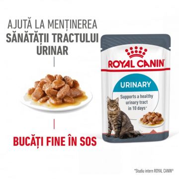 Royal Canin Urinary Care Adult hrana umeda pisica, sanatatea tractului urinar (in sos), 12 x 85 g