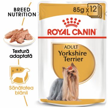 Royal Canin Yorkshire Terrier Adult hrana umeda caine (pate), 12 x 85 g