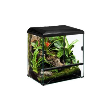 Set terariu si accesorii, Diversa, Forest 45, pentru amfibieni si reptile, 45x32.5x45 cm