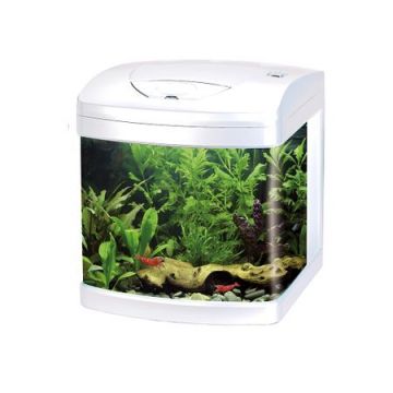 Acvariu Amtra xCube, Alb, Led, 26L