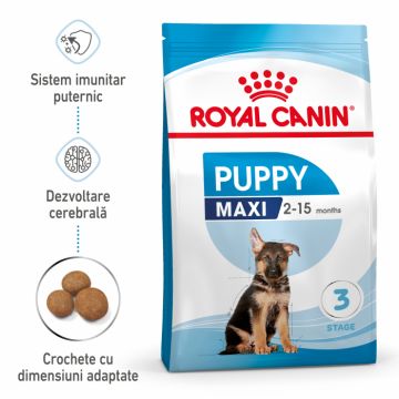Royal Canin Maxi Puppy hrana uscata caine junior, 10 kg de firma originala