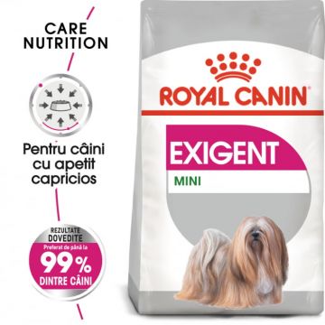 Royal Canin Mini Exigent hrana uscata caine, apetit capricios, 1 kg
