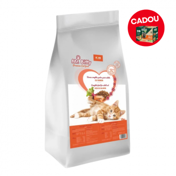 Hrana uscata pentru pisici Mr. Biffy, Somon, 10kg
