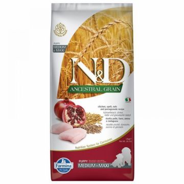 ND Ancestral Grain Puppy Medium Maxi, Pui si Rodie, 12kg