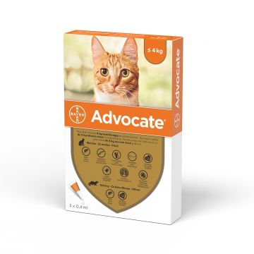 Advocate Pisica 0-4 kg, 3 pipete