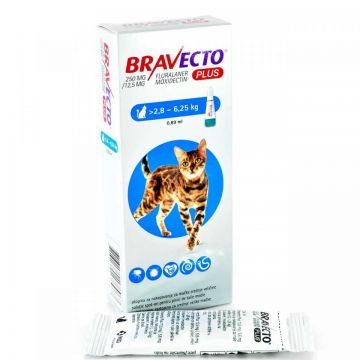Bravecto Plus Spot On Pisica 2,8-6.25 kg kg X 1 Pipeta X 250 Mg