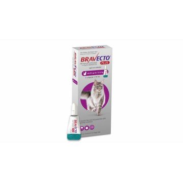 Bravecto Plus Spot On Pisica 6.25-12.5 kg kg X 1 Pipeta X 500 Mg