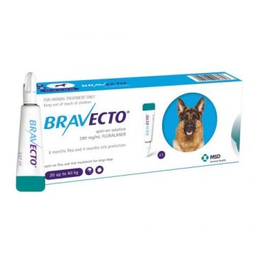 Antiparazitar extern pentru caini intre 20-40 kg Bravecto Spot On, 1 pipeta