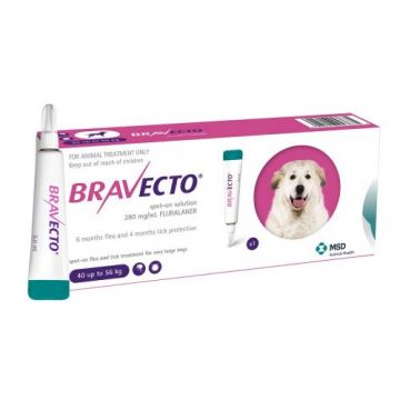 Antiparazitar extern pentru caini intre 40-56 kg Bravecto Spot On, 1 pipeta