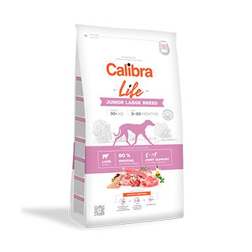 Calibra Dog Life Junior Large Breed Lamb 12 kg
