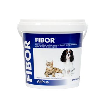 Fibor 500g
