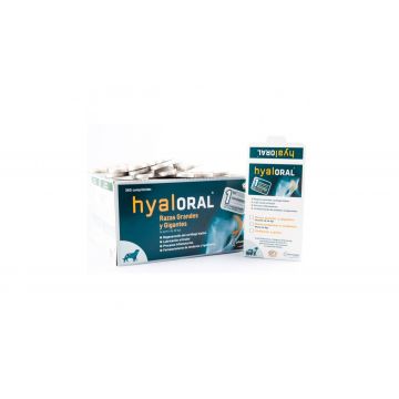 Hyaloral Large Breed 12 Tablete/Blister