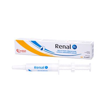 Renal N Pasta 15ml