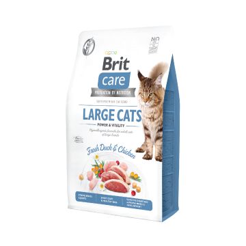 Brit Care Cat GF Large Cats Power and Vitality 2 kg