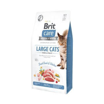 Brit Care Cat GF Large Cats Power and Vitality 7 kg