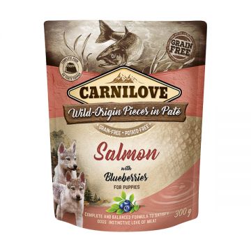 Carnilove Dog Pouch Paté Salmon with Blueberries for Puppies 300 g