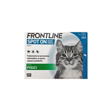 Antiparazitar extern pisici Frontline Spot On, 3 pipete