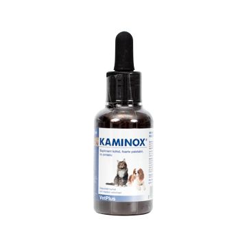 Kaminox 60 ml