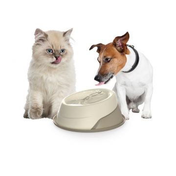 Castron apa antiderapant cu functie automata - tip fantana