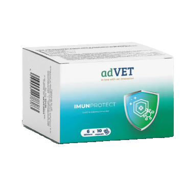 Imunprotect, Hrana complementara pentru caini si pisici, 60 capsule