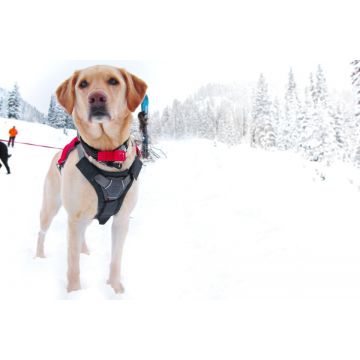 Protectie ham Ruffwear, gri twilight, constructie pe trei straturi, dimensiuni XS (43-56 cm)