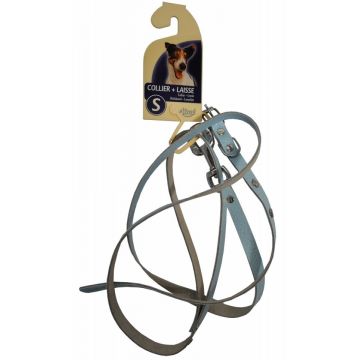 Set lesa + zgarda din piele, pastel, reglabila, lungime 1 m x latime 10 mm, circumferinta 26-32 cm