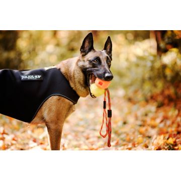 Vesta neopren Julius K9 - 2XS - Aquamarine