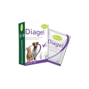 Diagel - Supliment digestiv pentru caini si pisici - 10g