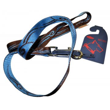 Lesa nylon, maro-albastru, rezistenta, lungime 0.75 m, latime 2 cm